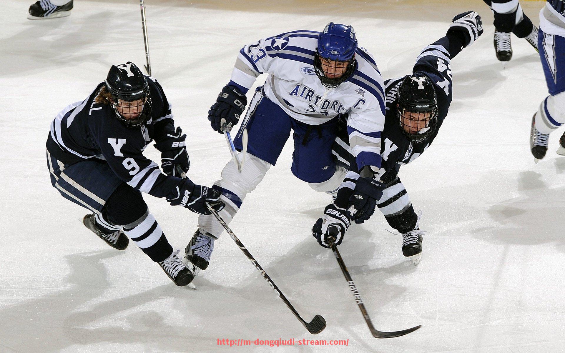 懂球帝直播-河南健身器材市场分析：未来发展趋势与潜力巨大的厂家推荐