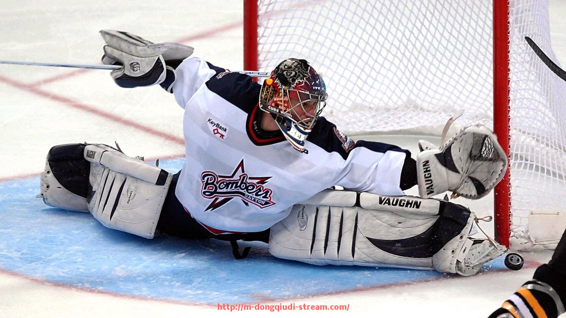 懂球帝直播-河南健身器材市场分析：未来发展趋势与潜力巨大的厂家推荐